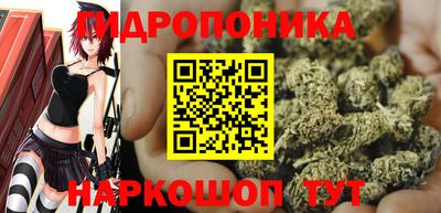 прущие крисы Бузулук