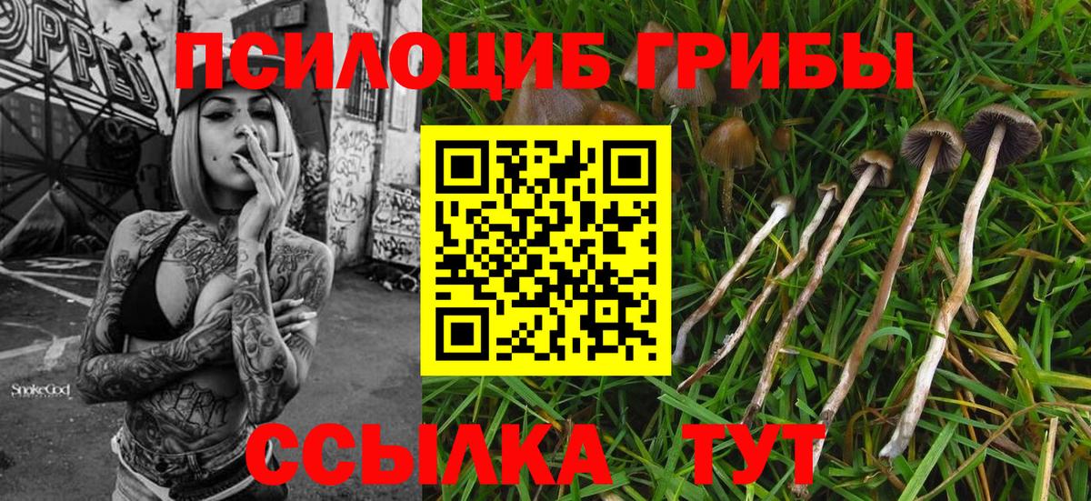 Южно-Сахалинск  Галлюциногенные грибы мухоморы  Вход с VPN 